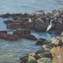 Image 005