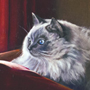 Image 005