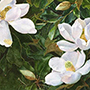 Image 003