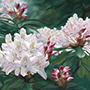 Image 004